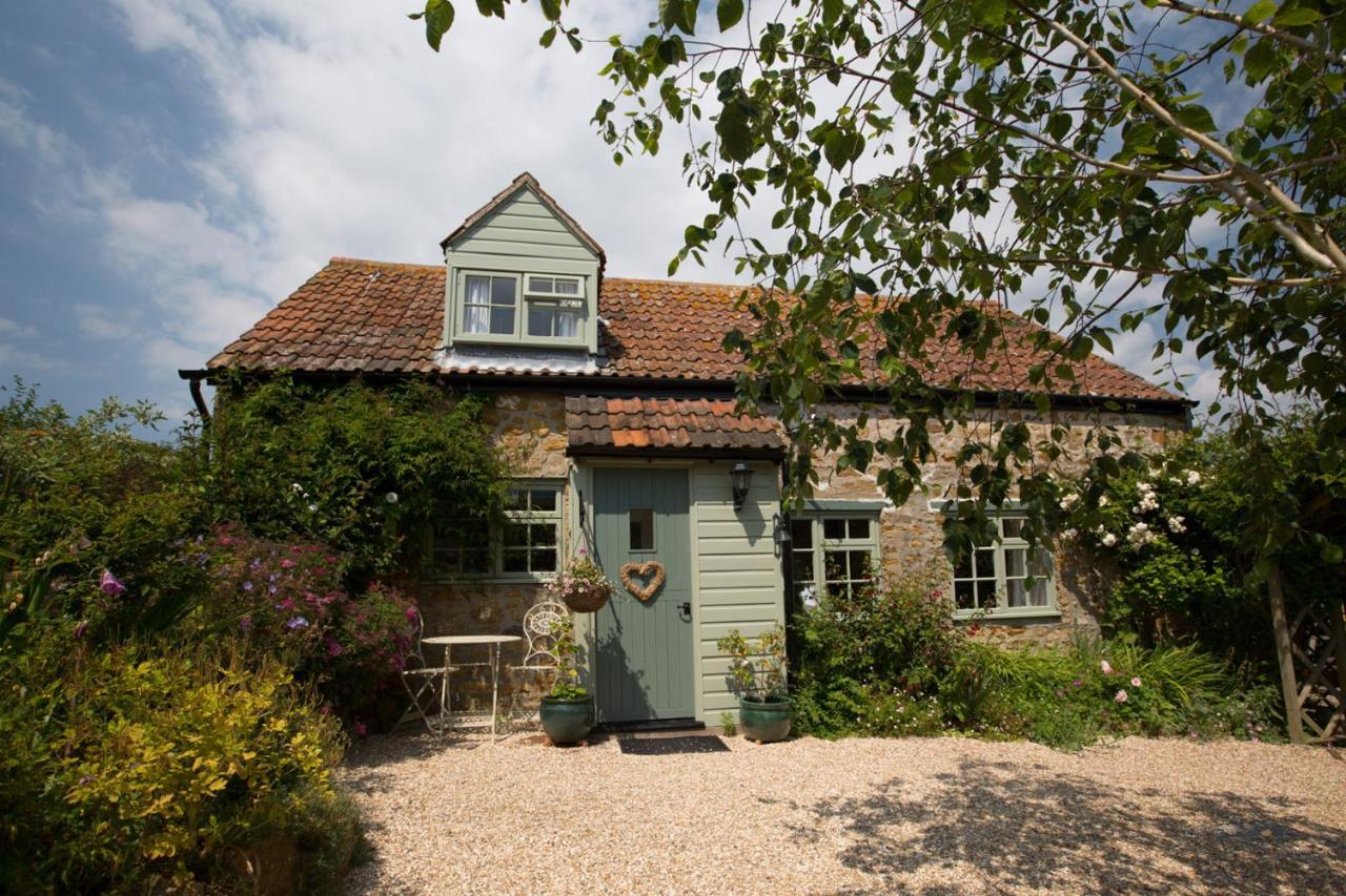 Chiddy Nook Cottage Chideock Eksteriør billede